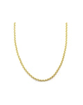 14K Gold 3.7mm Rolo Chain
