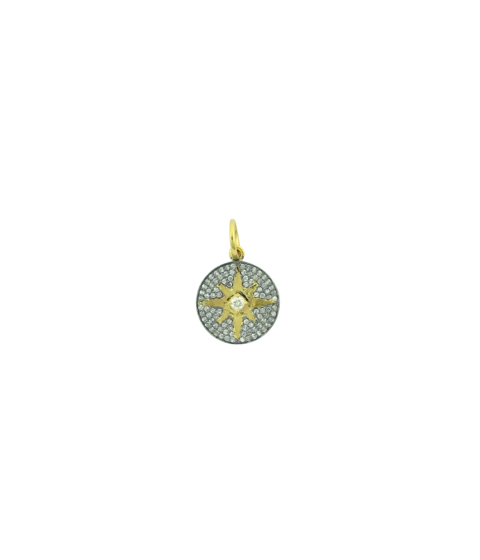 14K Gold Compass Diamond Coin Charm