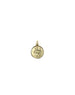 14K Gold Lucky Charm Disc Charm