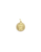 14K Matte Gold Diamond Angel Coin Charm