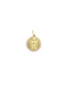 14K Matte Gold Diamond Angel Coin Charm