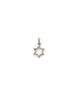 14K Gold Open Star of David Diamond Charm