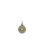 14K Gold Compass Diamond Coin Charm